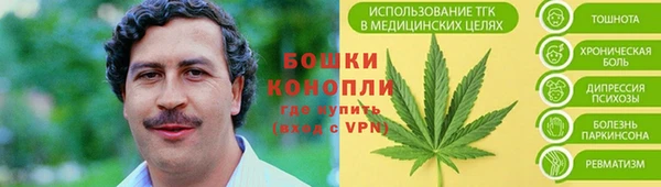 ПСИЛОЦИБИНОВЫЕ ГРИБЫ Балахна