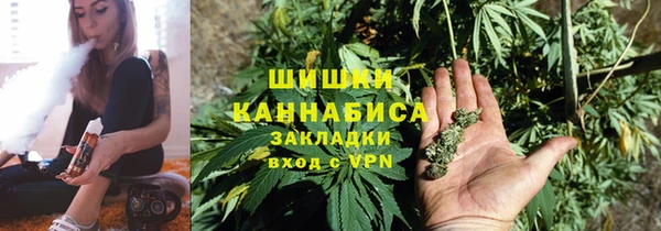 ПСИЛОЦИБИНОВЫЕ ГРИБЫ Балахна
